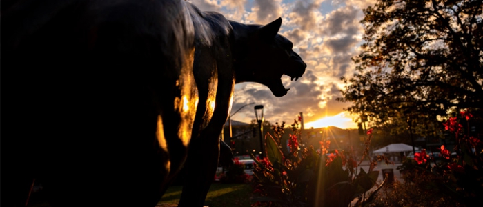 photo of a Pitt panther statue
